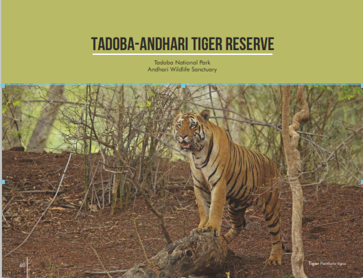 Tadoba