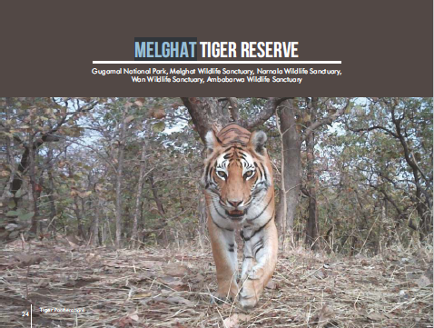 Tadoba Booking 